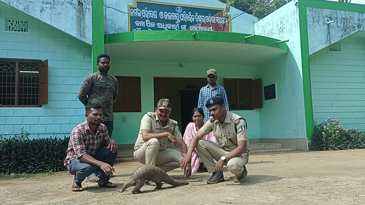 ବଜ୍ରକାପ୍ତା ଉଦ୍ଧାର କଲା ବୈପାରୀଗୁଡା ବନ ବିଭଗ