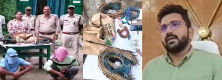 ବାଘକୁ ଶିକାର କରି ବାଘ ମାଂସ ଖାଇଥିବା ବାପା, ପୁଅ ଓ ପୁତୁରା ଗିରଫ