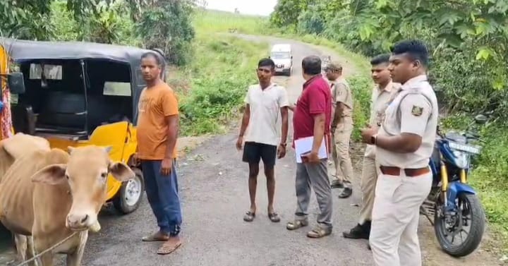 ଅଟୋ ସହ ଗୋରୁ ବଝେଇ ମାକ୍ସ ପିକଅପ ମୁହାଁମୁହିଁ ଧକା ଗୋଟିଏ ବଳଦ ମୃତ୍ୟୁ l