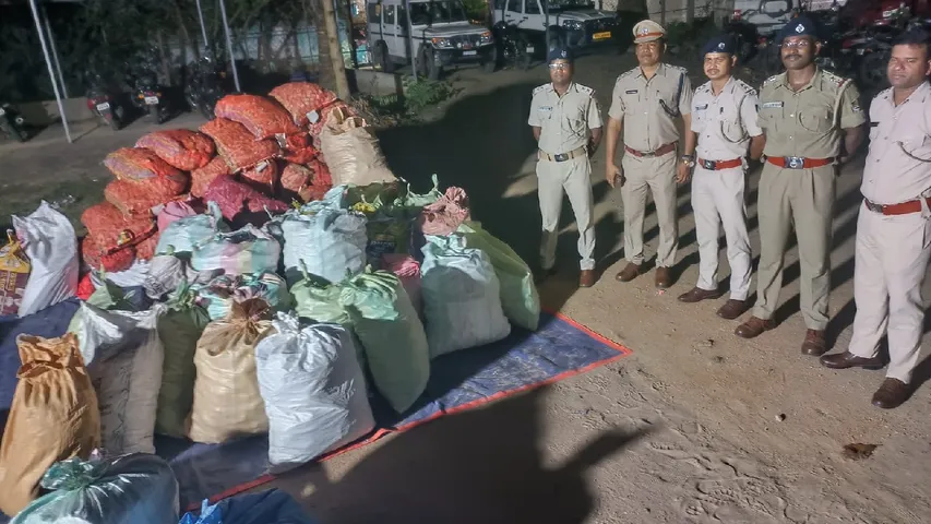 କାଶୀନଗର ଥାନା ଅଧୀନସ୍ଥ କେ.ସୀତାପୁର ଗ୍ରାମରେ ବେଆଇନ ଭାବେ ବାଣ (ଆରୋ) ତିଆରି କରୁଥିବାବେଳେ ପୋଲିସ ଅଚାନକ ଚଢ଼ଉ କରିଥିଲା।