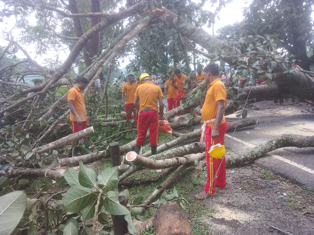 ଟିକାବାଲି ଅଞ୍ଚଳ ରାସ୍ତାରେ ଗଛ ପଡ଼ି ୨ ଘଣ୍ଟା ରାସ୍ତା ଅବରୋଧ ,ଯାତାୟତ ଠପ୍...