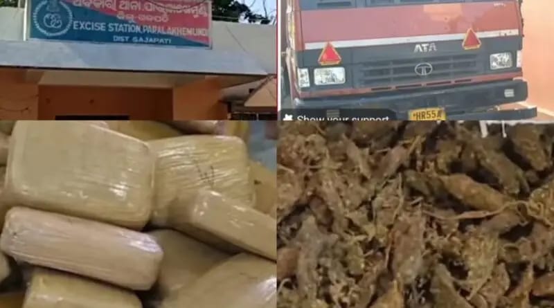 ଅବକାରୀ ବିଭାଗ ଚଢାଉ: ଗଞ୍ଜେଇ ଚୋରାଚାଲାଣ ବେଳେ ଜବତ, 2 ଗିରଫ।