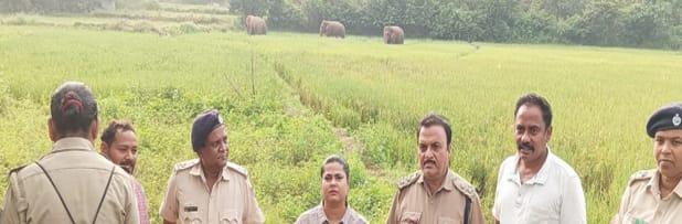 ଗାଁ ଛାଡୁ ନାହାନ୍ତି ହାତୀପଲ