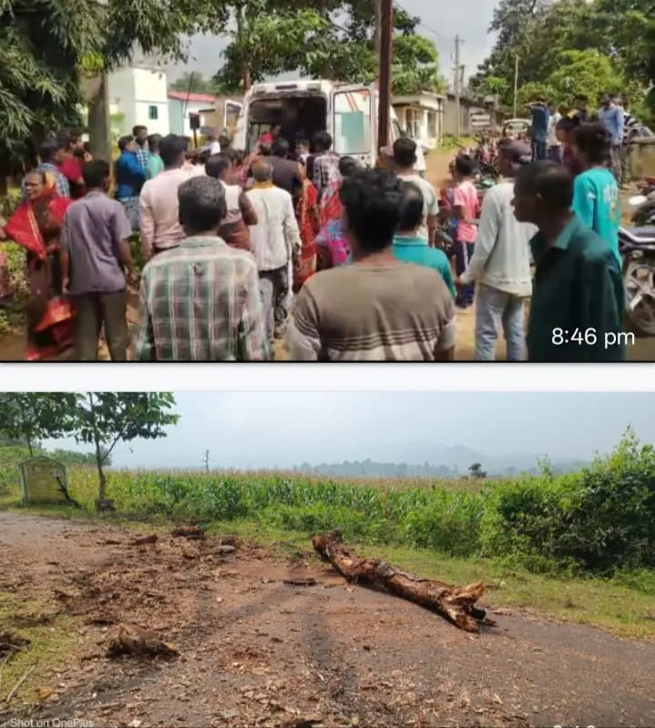 ବିଲକୁ ଯାଉଥିବା ବେଳେ ଶୁଖିଲା ଗଛର ଗଣ୍ଡି ପଡି ଯୁବକ ମୃତ ।
