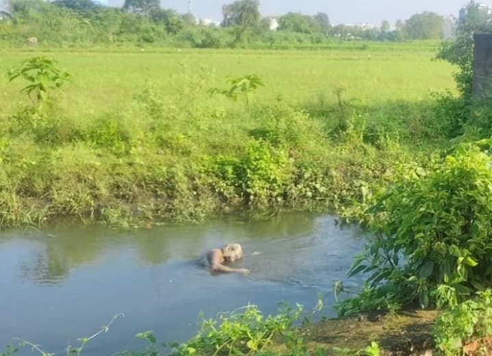ମାୟାପୁରୀ ବଡ ନାଳରୁ ବୃଦ୍ଧଙ୍କ ଶବ ଉଦ୍ଧାର।