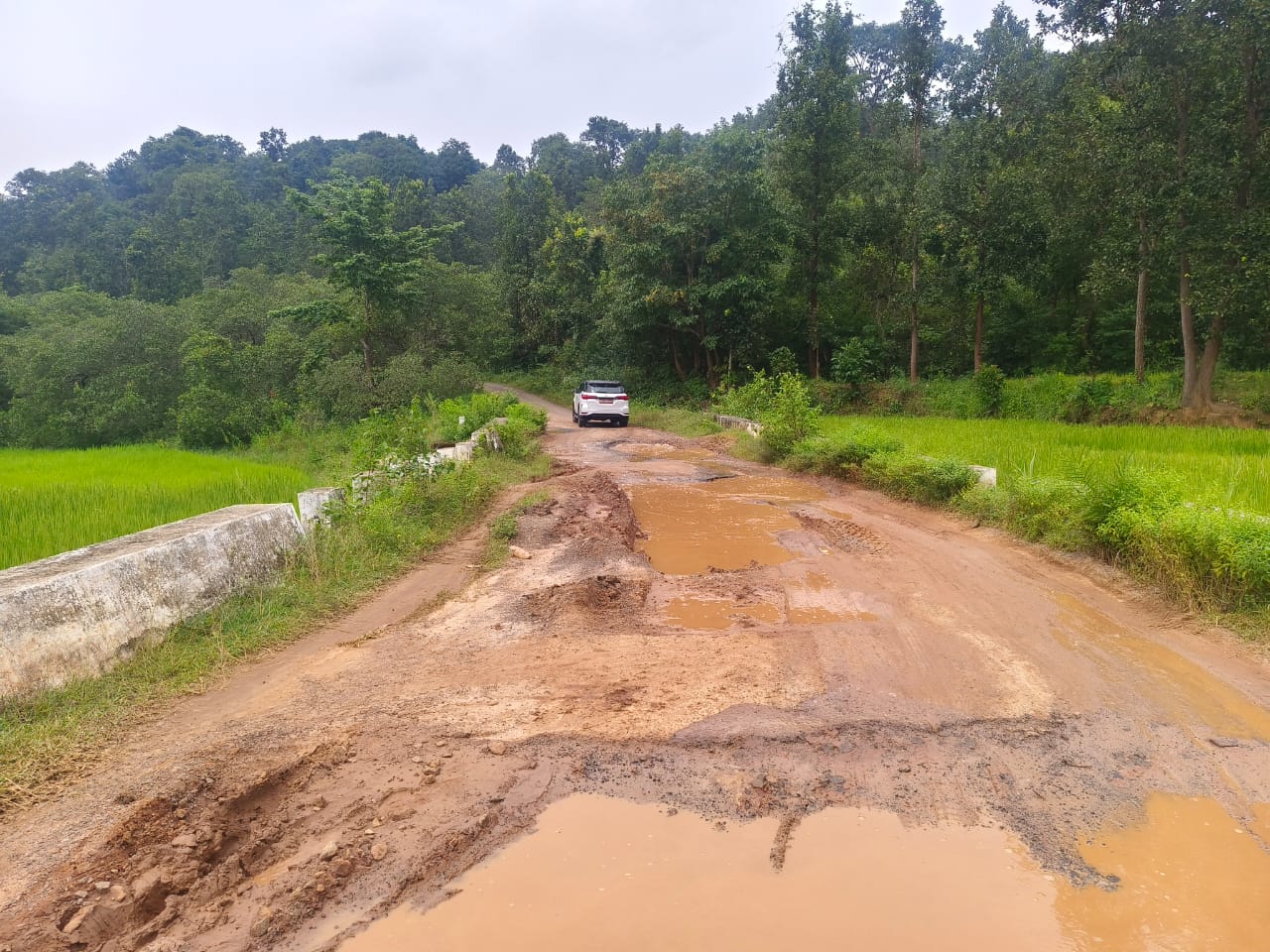 ରାସ୍ତା ପାଇଁ ଗଡ଼ୁନି ସରକାରୀ ବସ ,ଚାରଟି ପଞ୍ଚାୟତ ବାସି ହନ୍ତସନ୍ତ ।