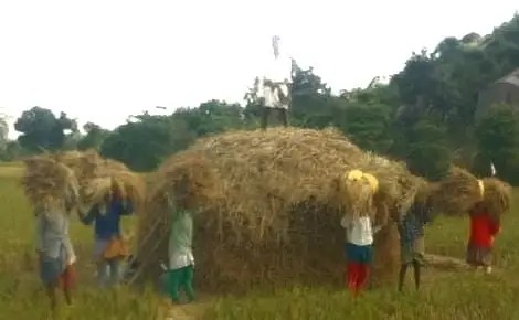 ପୁଣି ଆଉ ଏକ ସମ୍ଭାବ୍ୟ ଲଘୁଚାପ : ଭୟରେ ଗଜପତି ଜିଲ୍ଲା ଚାଷୀ ଆତଙ୍କିତ ।