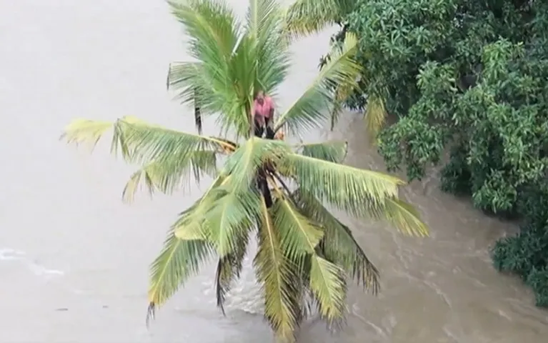 ତଳେ ବନ୍ୟା ପାଣି, ନଡ଼ିଆ ଗଛ ଉପରେ ଚଢି ରାତିକାଟିଲେ ଯୁବକ, ଉଦ୍ଧାର କଲା ଶ୍ରୀଲଙ୍କା ବାୟୁସେନା