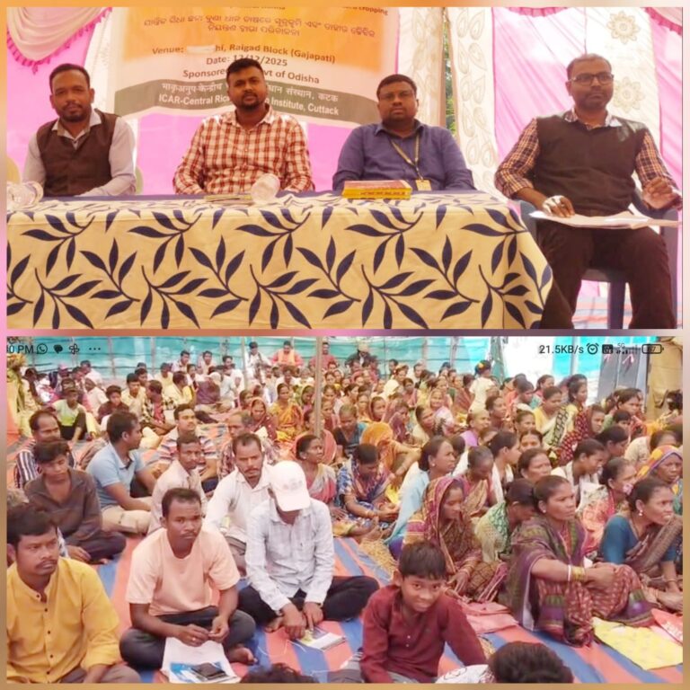 କଟକ କେନ୍ଦ୍ରୀୟ ଧାନ ଗବେଷଣା ଅନୁଷ୍ଠାନ ତରଫରୁ ଚାଷୀ ସଚେତନତା ମେଳା ଅନୁଷ୍ଠିତ ।