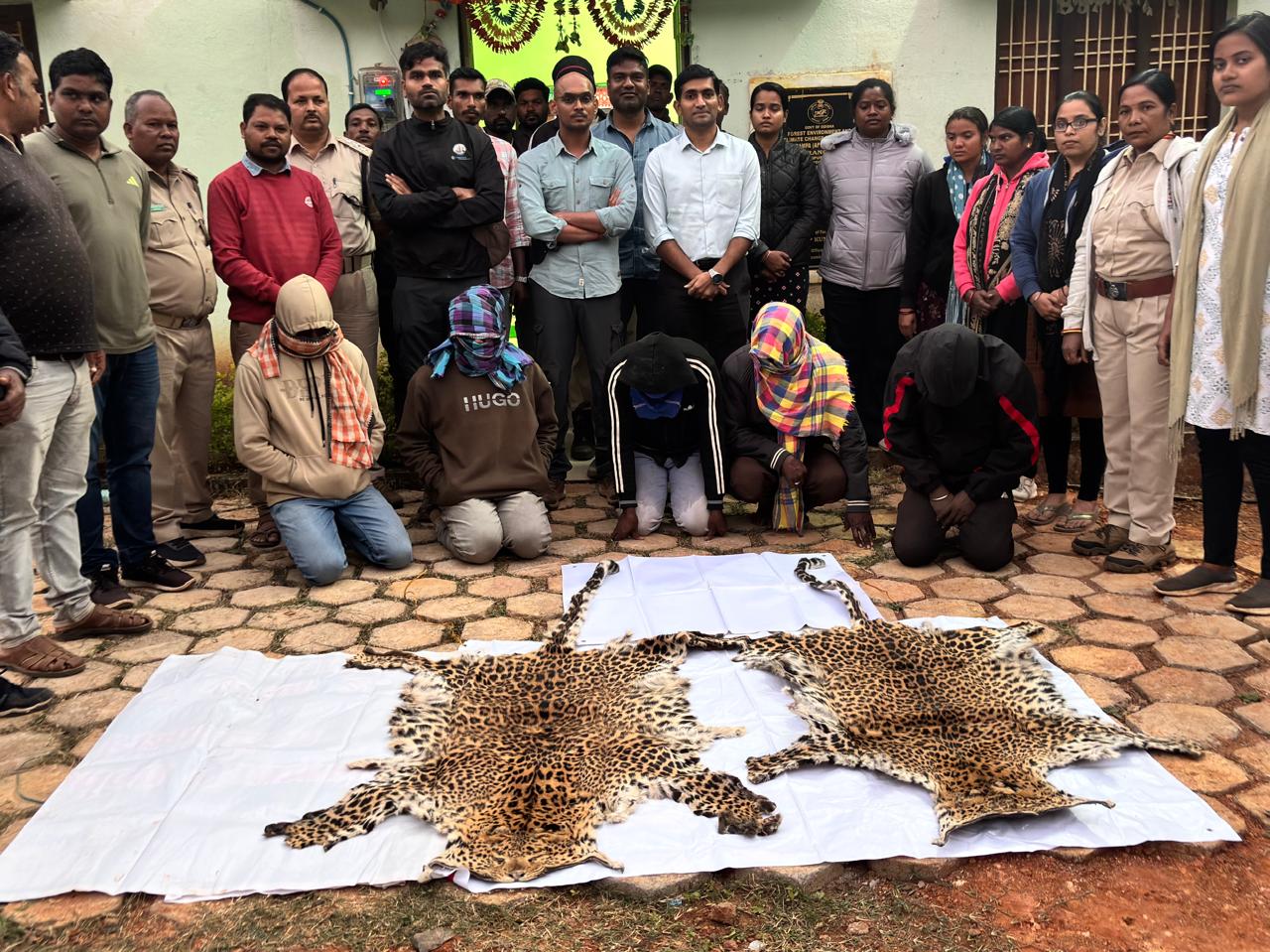 ରାୟଗଡ ବନ ବିଭାଗ ଓ କଳାହାଣ୍ଡି ଦକ୍ଷିଣ ଵନ ବିଭାଗର ମିଳିତ ଚଢାଉରେ ୨ଟି କଲରାପତ୍ରିଆ ବାଘ ଚମଡା ଜବତ ୫ଗିରଫ।