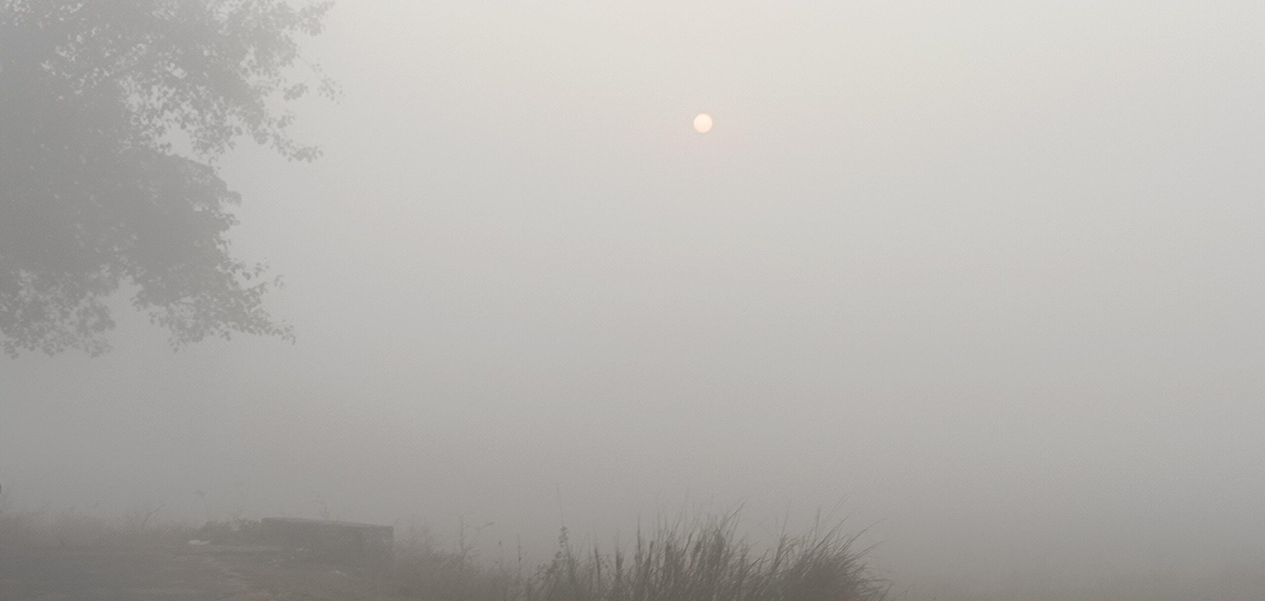 ପାରଳାଖେମୁଣ୍ଡିରେ ଘନ କୁହୁଡି