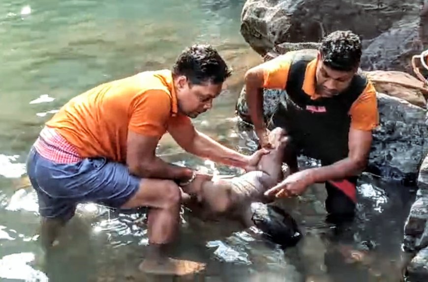 ସୀତାକୁଣ୍ଡ ଜଳପ୍ରପାତରେ ଦୁର୍ଘଟଣା: ପିକନିକ ସମୟରେ ଦୁଇ ଭାଇଙ୍କ ମୃତ୍ୟୁ, ଶୋକରେ ଭଦ୍ରକ ଅଞ୍ଚଳ