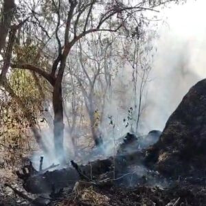 ବର୍ଷକର ଆହାର ପୋଡି ପାଉଁଶ । ୩୦ ବସ୍ତା ଧାନ ଓ ଦୁଇଟି ପାଳଗଦା ଜଳି ଗଲା