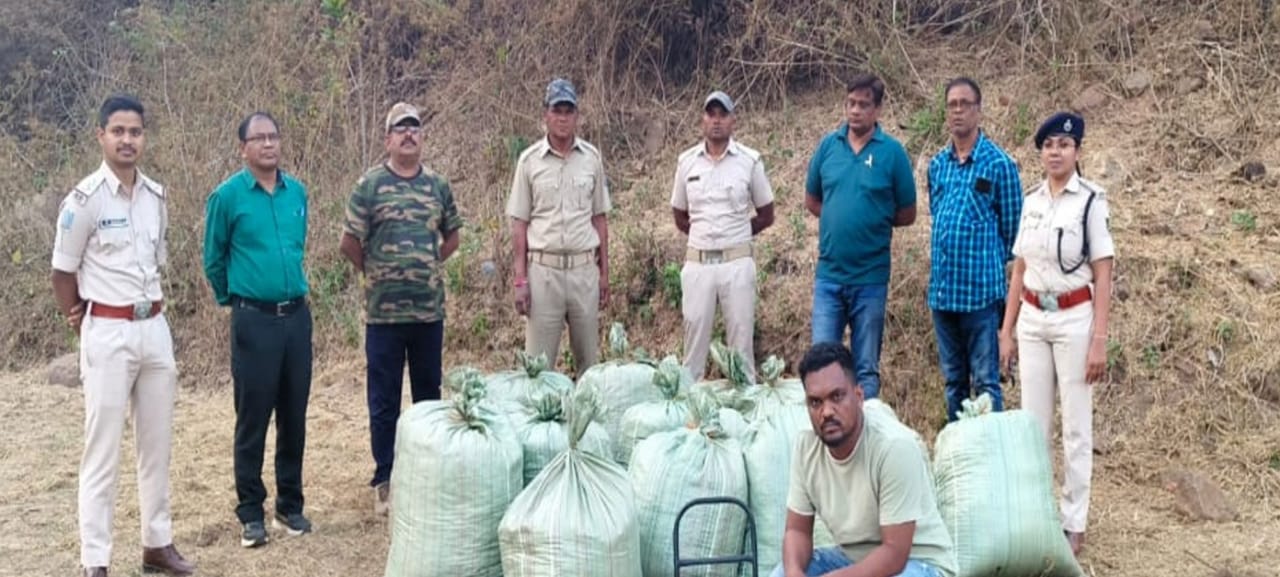 ଜଙ୍ଗଲରେ ୫ କୁଇଣ୍ଟାଲ ଗଞ୍ଜେଇ: ଜଣେ ଗିରଫ