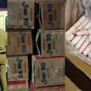 ତରଭୁଜ ପେଟିରେ ଲୁଚାଇ ଚୋରା ଚାଲାଣ: କେରଳରେ ବିପୁଳ ବିସ୍ଫୋରକ ଜବତ, ଡ୍ରାଇଭର ଅଟକ