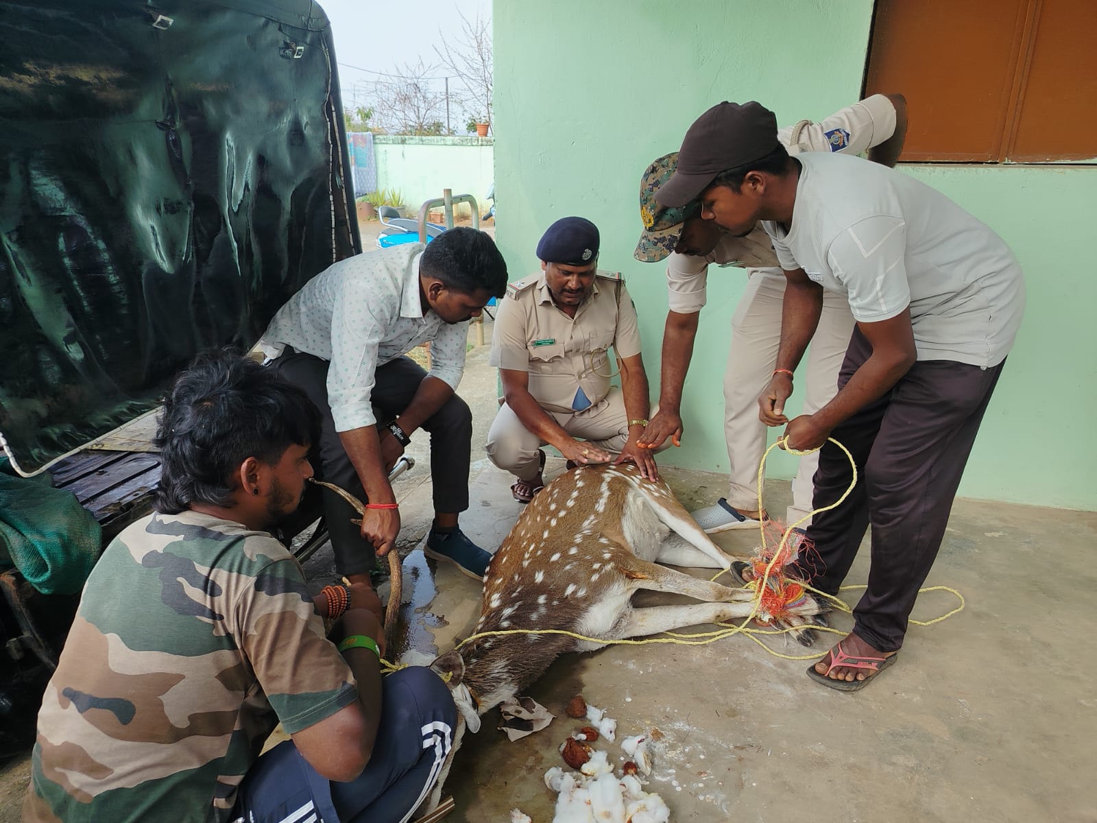 ଆହତ ହରିଣକୁ ଉଦ୍ଧାର କଲା ବନ ବିଭାଗ ।