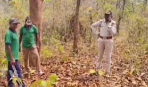 ଗାଇ-କୁ-ମାରି-ଖାଇଲା-କିଏ-