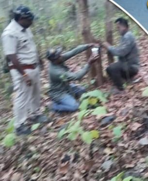 ବାଘ ଗାଈକୁ ମାରି ଖାଇବା ଘଟଣା ପରେ ବନ ବିଭାଗ ଲଗାଇଲା ୪ ଟ୍ରାପ କ୍ୟାମେରା