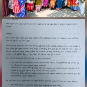 ପ୍ରଭାତ ବେସରକାରୀ ସଂସ୍ଥା ଏନ ଜି ଓ ର ମାଣ୍ଡିଆ ଚାଷ ଓ କିଣା ଦୁର୍ନୀତି କୁ ଲୋକଲୋଚନ କୁ ଆଣିଲେ ସୁଭଦ୍ରା ଯୋଜନା ହିତାଧିକାରୀ