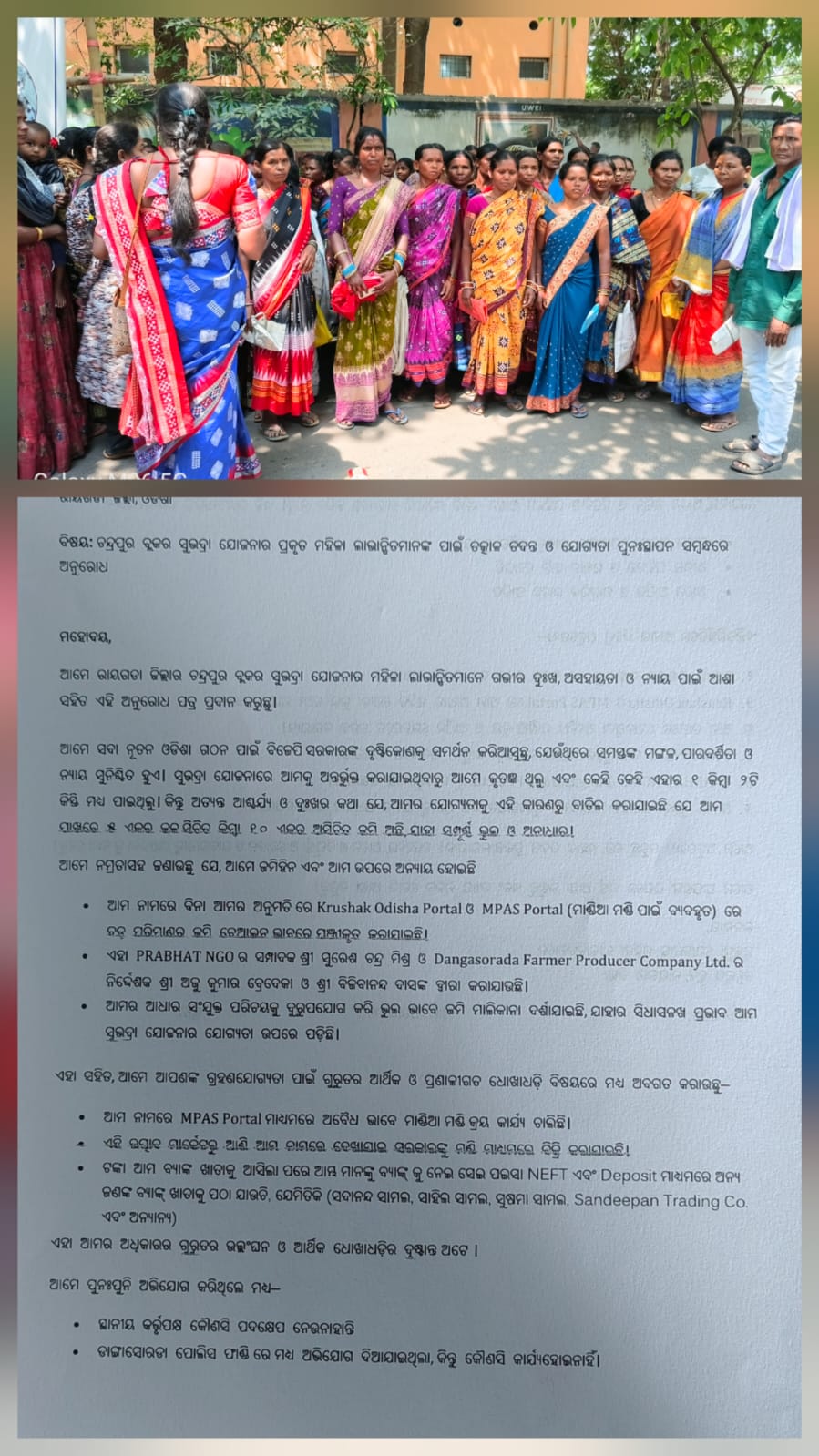 ପ୍ରଭାତ ବେସରକାରୀ ସଂସ୍ଥା ଏନ ଜି ଓ ର ମାଣ୍ଡିଆ ଚାଷ ଓ କିଣା ଦୁର୍ନୀତି କୁ ଲୋକଲୋଚନ କୁ ଆଣିଲେ ସୁଭଦ୍ରା ଯୋଜନା ହିତାଧିକାରୀ