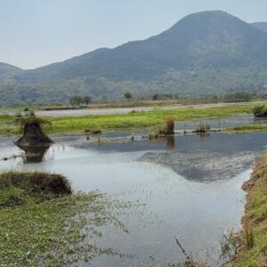 ଗଜପତି ସାଗର ପୁନରୁଦ୍ଧାର କରିବା ପାଇଁ ଅନୁଧ୍ୟାନ କଲେ ବିଧାୟକ।