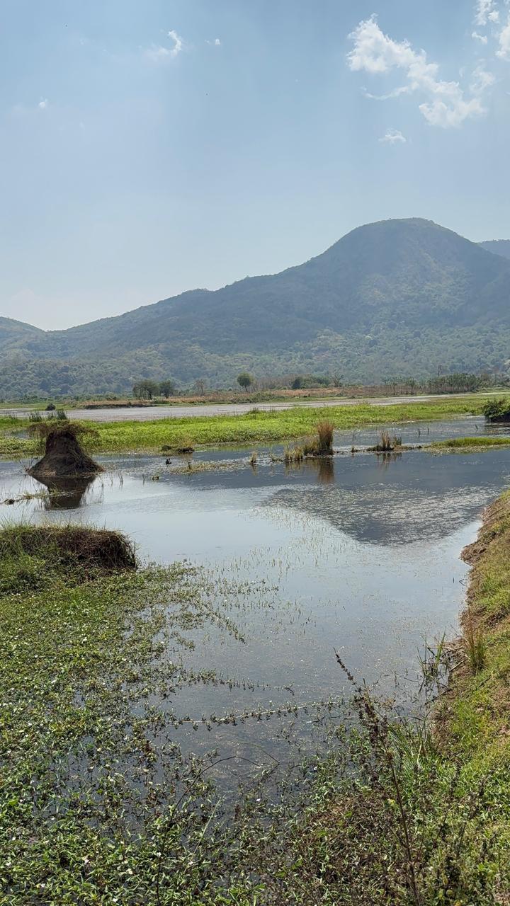 ଗଜପତି ସାଗର ପୁନରୁଦ୍ଧାର କରିବା ପାଇଁ ଅନୁଧ୍ୟାନ କଲେ ବିଧାୟକ।