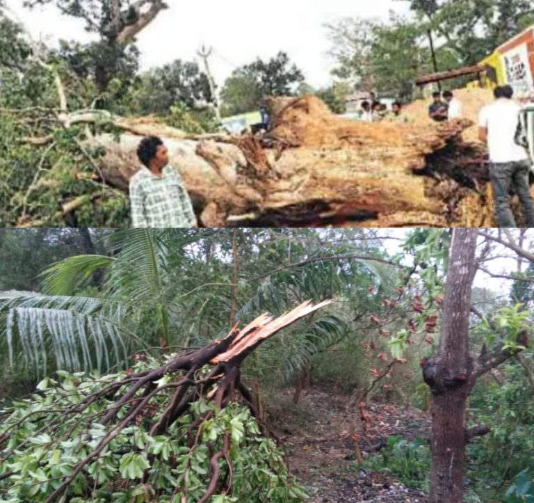 ଗଜପତିରେ କାଳବୈଶାଖୀର ତାଣ୍ଡବ, ଚନ୍ଦ୍ରଗିରି ଓ ଗୋଷାଣୀ ବ୍ଲକରେ ବ୍ୟାପକ କ୍ଷୟକ୍ଷତି ।