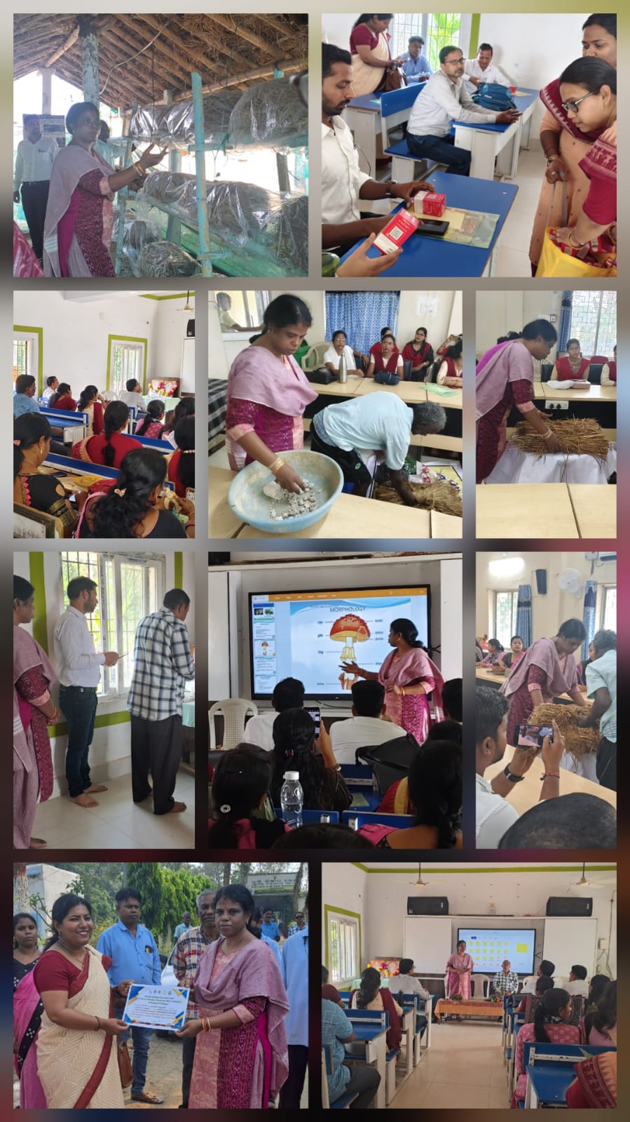 ଆତ୍ମନିର୍ଭରଶୀଳରେ ଛତୁଚାଷ ପ୍ରଶିକ୍ଷଣ ଅନୁଷ୍ଠିତ ହୋଇଯାଇଛି।