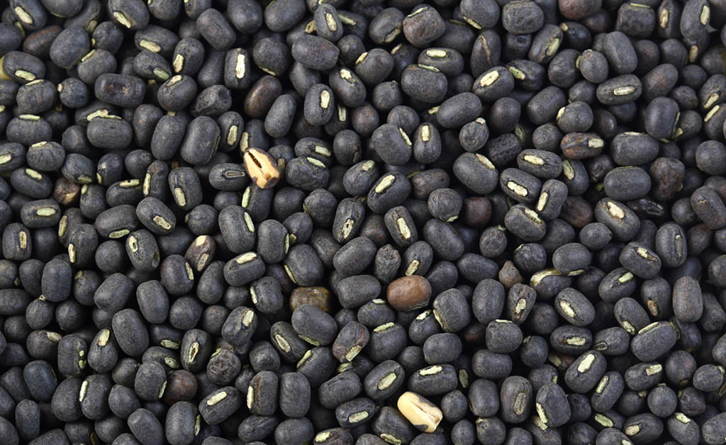 ବିରିରେ ରହିଛି ଅନେକ ଉପକାରିତା: ମାଗଣା ସ୍ଵାସ୍ଥ୍ୟ ଶିବିରରେ ବର୍ଣ୍ଣନା କଲେ ଡାକ୍ତର