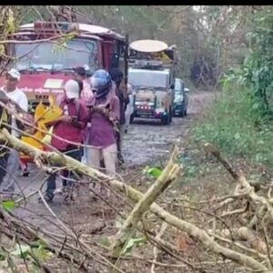 କାଳବୈଶାଖି ର ପ୍ରଭାବ ରେ ଗଛ ପଡି ନାଇରା ଗୁଡ଼ାରୀ ରାସ୍ତା ଅବରୋଧ