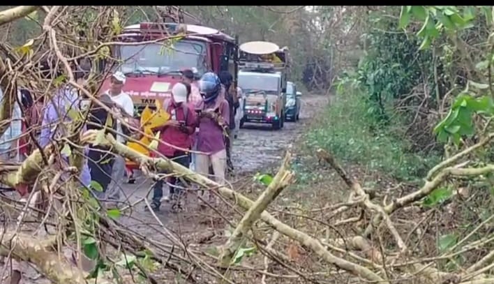 କାଳବୈଶାଖି ର ପ୍ରଭାବ ରେ ଗଛ ପଡି ନାଇରା ଗୁଡ଼ାରୀ ରାସ୍ତା ଅବରୋଧ