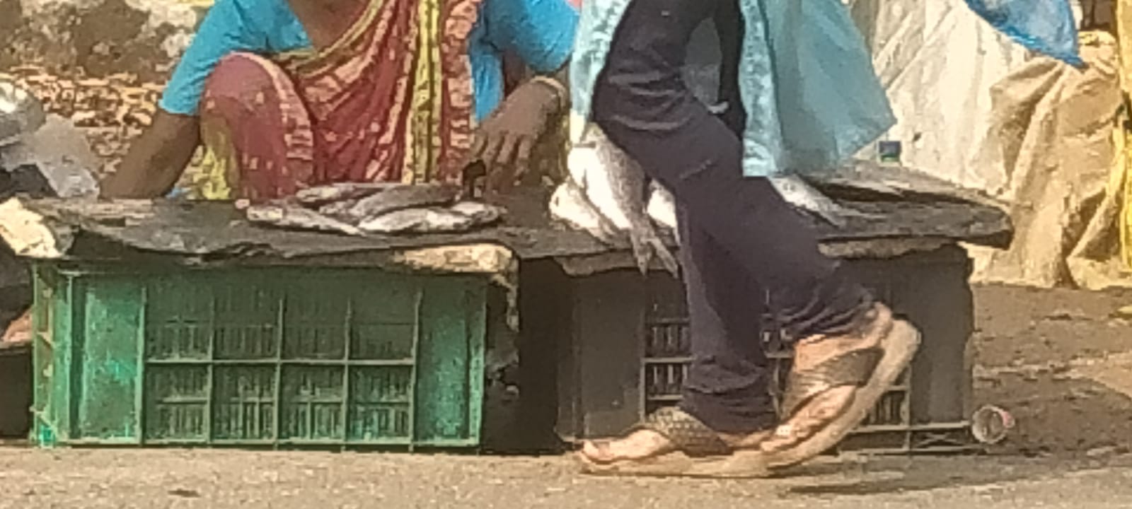 ରାସ୍ତା କଡରେ ମାଛ ମାଂସ ଦୋକାନ କିନ୍ତୁ ପ୍ରଶାସନ ଚୁପ,ଦାଇତ୍ଵ ଅଧିକାରୀ ନିରବ ।