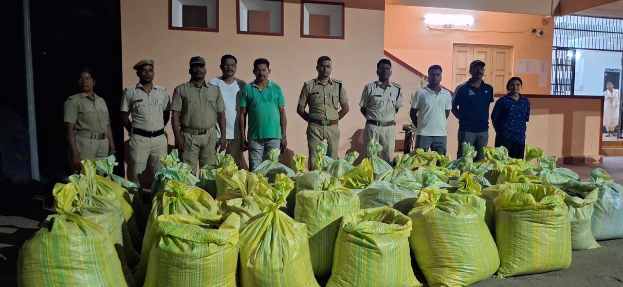 *ଘଞ୍ଚ ଜଙ୍ଗଳରୁ ବିପୁଳ ପରିମାଣରେ ଗଞ୍ଜେଇ ଜବତ*।