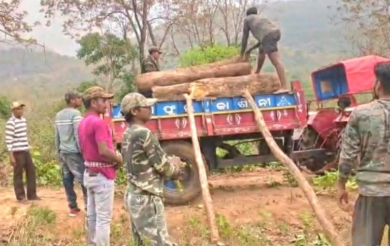 ଚୋରାଚାଲାଣ ପାଇଁ ଗଛିତ ଥିବା 2 ଲକ୍ଷ ଟଙ୍କାର ପିଆଶାଳ କାଠକୁ ବନ ବିଭାଗ ଜବତ କଲା ।