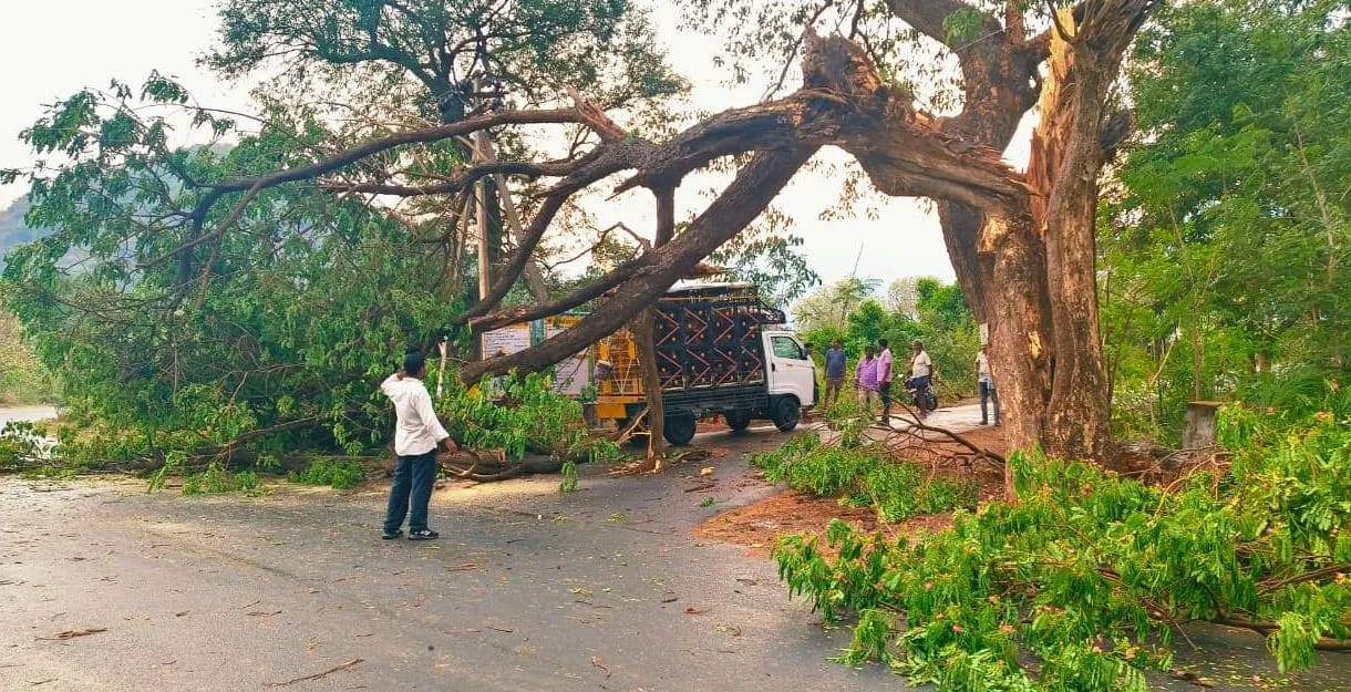 ଅପରାହ୍ନରେ କାଳବୈଶାଖୀର ତାଣ୍ଡବ, ଗଛ ପଡ଼ି ଜାତୀୟ ରାଜପଥ ଠପ୍