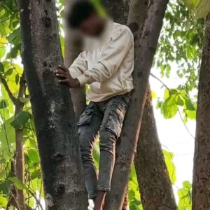 ପ୍ରେମ ପାଇଁ ଗଛ ଚଢ଼ିଲା ନାବାଳକ ।