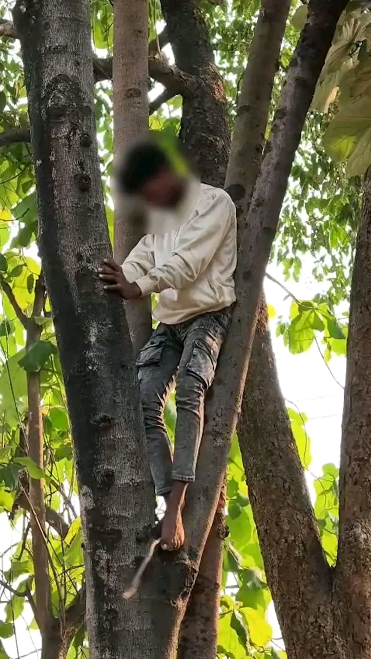 ପ୍ରେମ ପାଇଁ ଗଛ ଚଢ଼ିଲା ନାବାଳକ ।