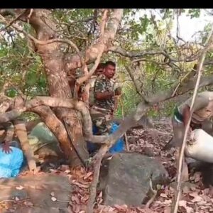 ପୋଲିସର ସଫଳତା… ପାହାଡର ମାଟି ତଳେ ଲୁଚାଇ ରଖିଥିବା 4 କୋଟି ଟଙ୍କାର ଗଞ୍ଜେଇ ଜବତ ।