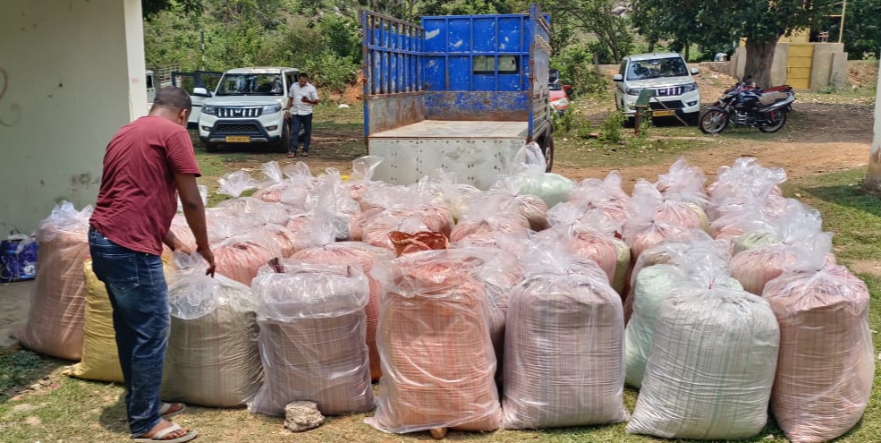 ଅବକାରୀ ବିଭାଗକୁ ମିଳିଛି ବଡ ସଫଳତା ୧୮ କୁଇଣ୍ଟାଲ ଭାଗ ସହ ପିକାଅପ୍ ଜବତ , ଜଣେ ଗିରଫ ।