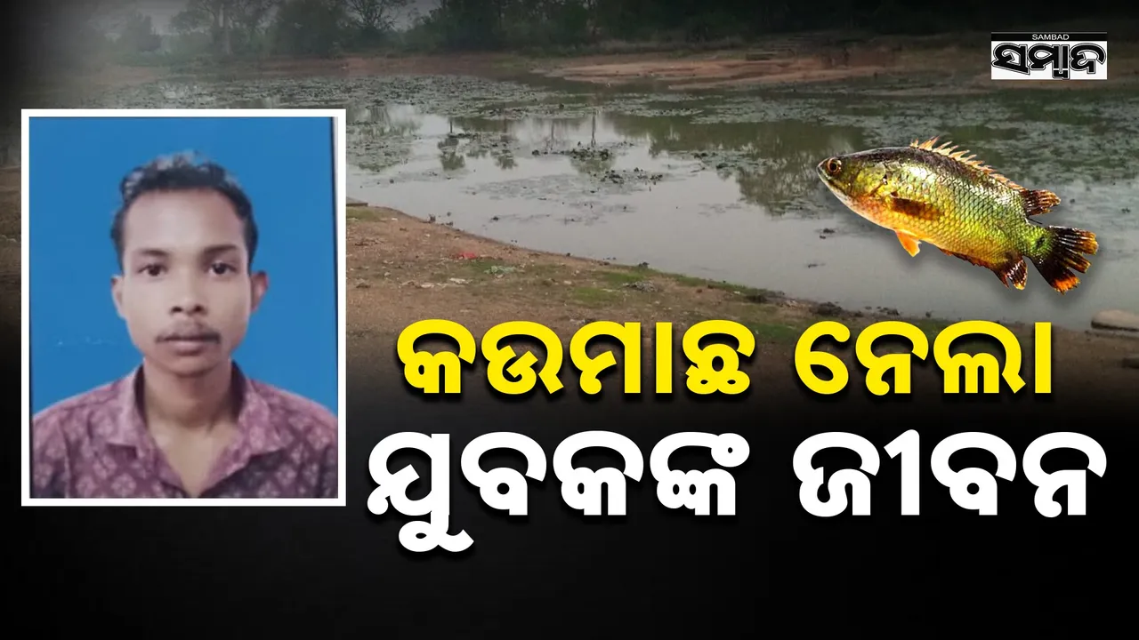 ବାଙ୍ଗିରିପୋଷିରେ ଅଭାବନୀୟ ଘଟଣା: କଉମାଛ ତଣ୍ଟିରେ ଅଟକି ଯୁବକଙ୍କ ମୃତ୍ୟୁ