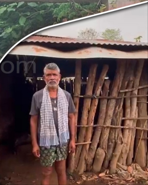 ବିଷାକ୍ତ ଖାଦ୍ୟ ଖାଇ ୨୧ ଛେଳି ମୃତ: ସରକାରଙ୍କୁ କ୍ଷତିପୂରଣ ଦାବି କଲେ ଗୋପୀନାଥ
