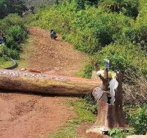 ଦେବଗିରି ପର୍ଯ୍ୟଟନ ଉନ୍ନତି ପାଇଁ ୧କୋଟି୨୩ ଲକ୍ଷ ଟଙ୍କା ବ୍ୟୟ ପାଣିରେ ପଡିଲା, ସାଧାରଣ ବର୍ଷାରେ ଭାଙ୍ଗିଲା ମୁଖ୍ୟ ପ୍ରବେଶ ଦ୍ୱାରର ଗେଟ ।
