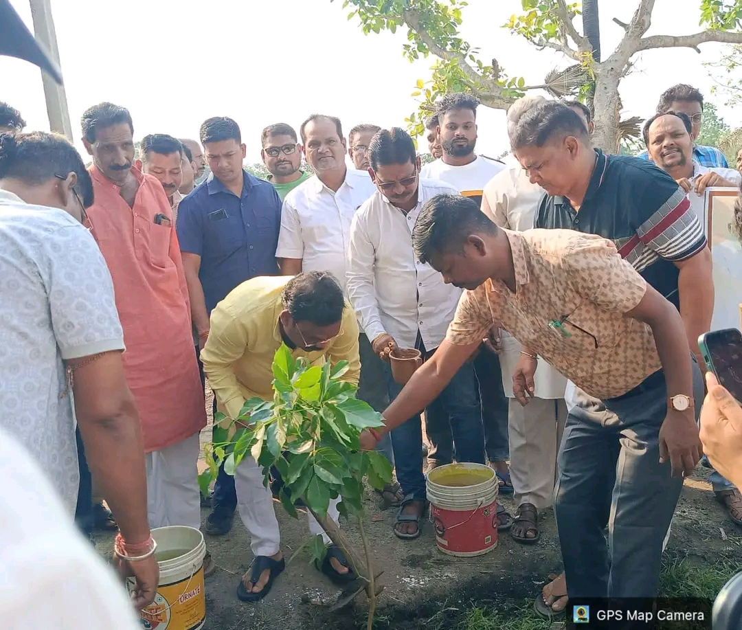 ଗଞ୍ଜାମ ଜିଲ୍ଲା ବିଶ୍ୱ ପରିବେଶ ଦିବସ :ସବୁଜ ପୃଥିବୀ ଗଠନ ପାଇଁ ସମସ୍ତଙ୍କୁ ଆହ୍ୱାନ ।
