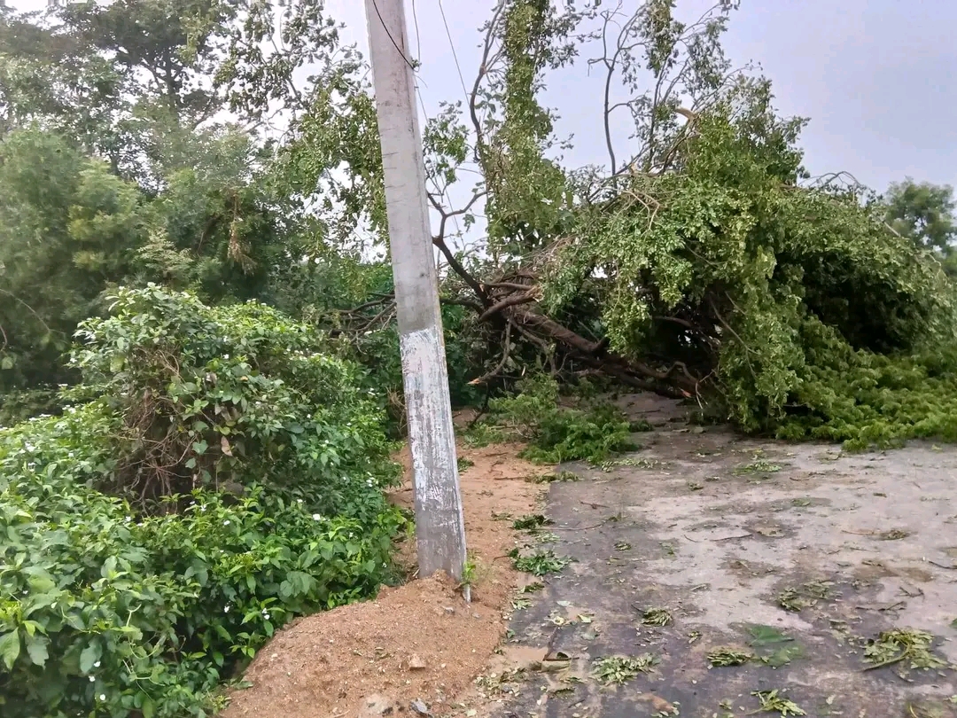 ସାପୁଆବାସା ଗ୍ରାମରେ କାଳବୈଶାଖୀର ପ୍ରଭାବ