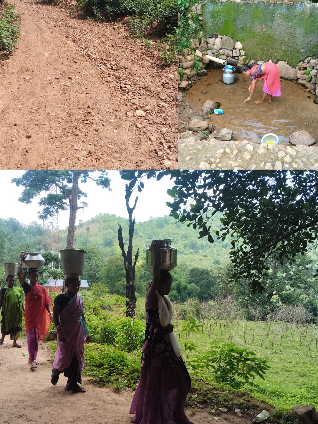 ମୌଳିକ ସୁବିଧାରୁ ବଞ୍ଚିତ ମାଣ୍ଡିଆଡମ୍ବ ଗ୍ରାମବାସୀ, ପକ୍କା ରାସ୍ତା, ପାନୀୟ ଜଳ ଓ ଶିକ୍ଷାର ଅଭାବ