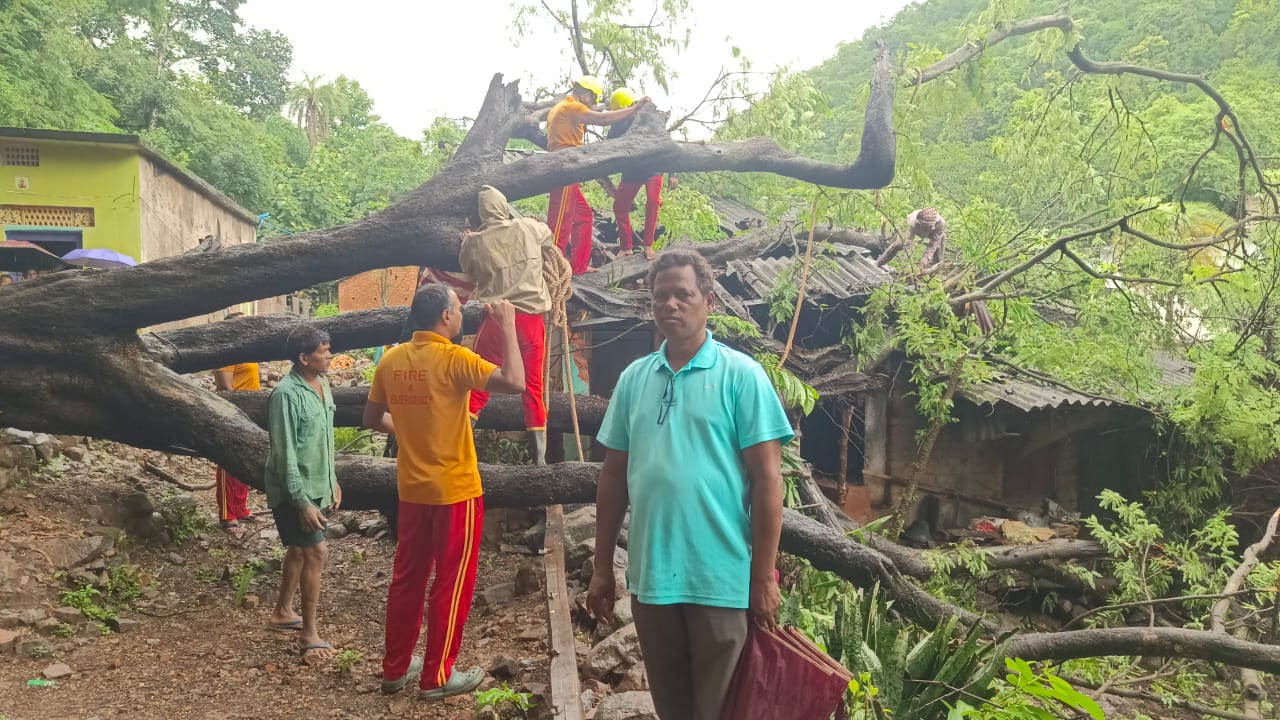 ଲଗାଣ ବର୍ଷାରେ ୩ଟି ଘର ଉପରେ ପଡ଼ିଲା ତେନ୍ତୁଳି ଗଛ, ଅଳ୍ପକେ ବର୍ତିଲେ ପରିବାର ସଦସ୍ୟ ।