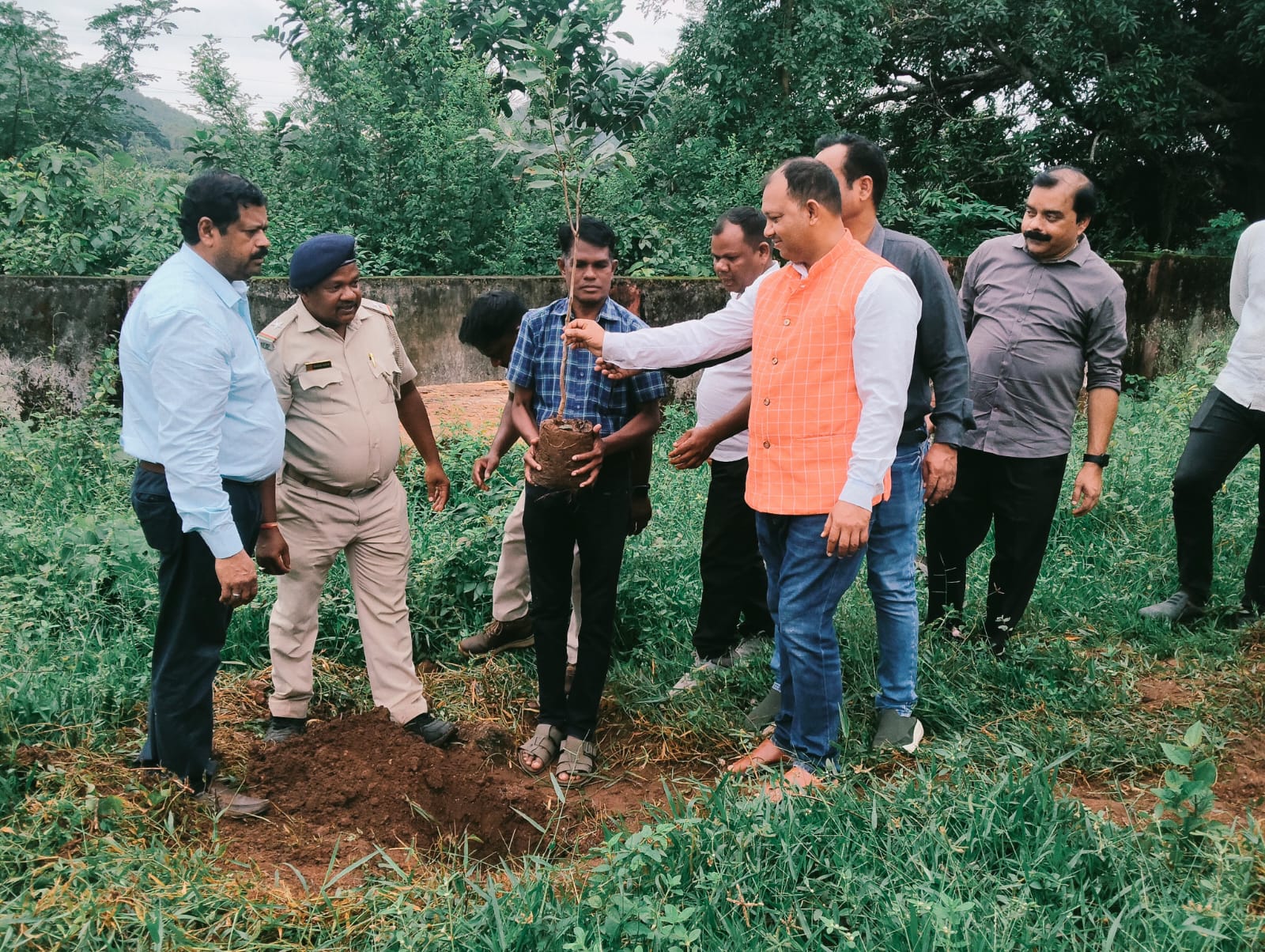 ତହସିଲ କାର୍ଯ୍ୟାଳୟ ଠାରେ ବନମହୋତ୍ସବ ପାଳିତ