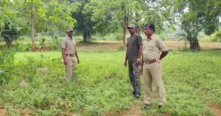 ନିଖୋଜ ଯୁବକଙ୍କ ଝୁଲନ୍ତା ମୃତଦେହ ଉଦ୍ଧାର, ଘଟଣାର ତଦନ୍ତ ଆରମ୍ଭ l