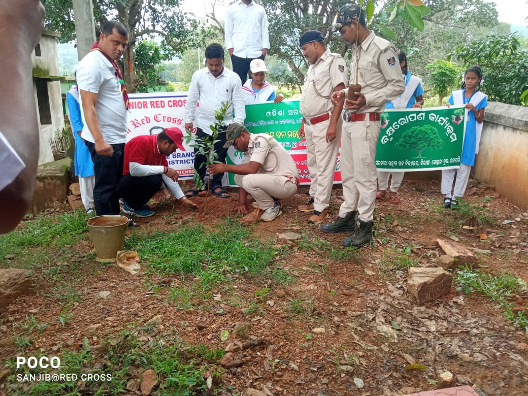ଜୀରାଙ୍ଗ ରେ ପାଳିତ ହେଲା ବନମହୋତ୍ସ ସପ୍ତାହ।