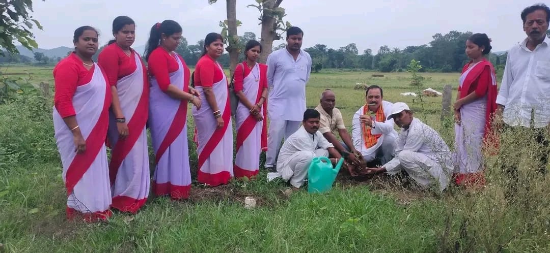 ଗଞ୍ଜାମ ଜିଲ୍ଲା ମୁଣ୍ଡମରାଇ ଶିଶୁ ମନ୍ଦିରରେ ବନ ମହୋତ୍ସବ କାର୍ଯ୍ୟକ୍ରମ l